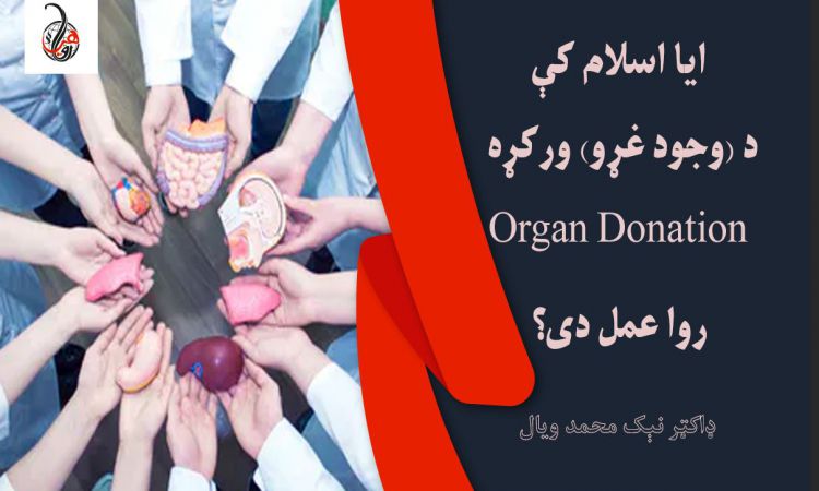 آيا اسلام کې د (وجود غړو) ورکړه (Organ Donation) روا عمل دی؟ 